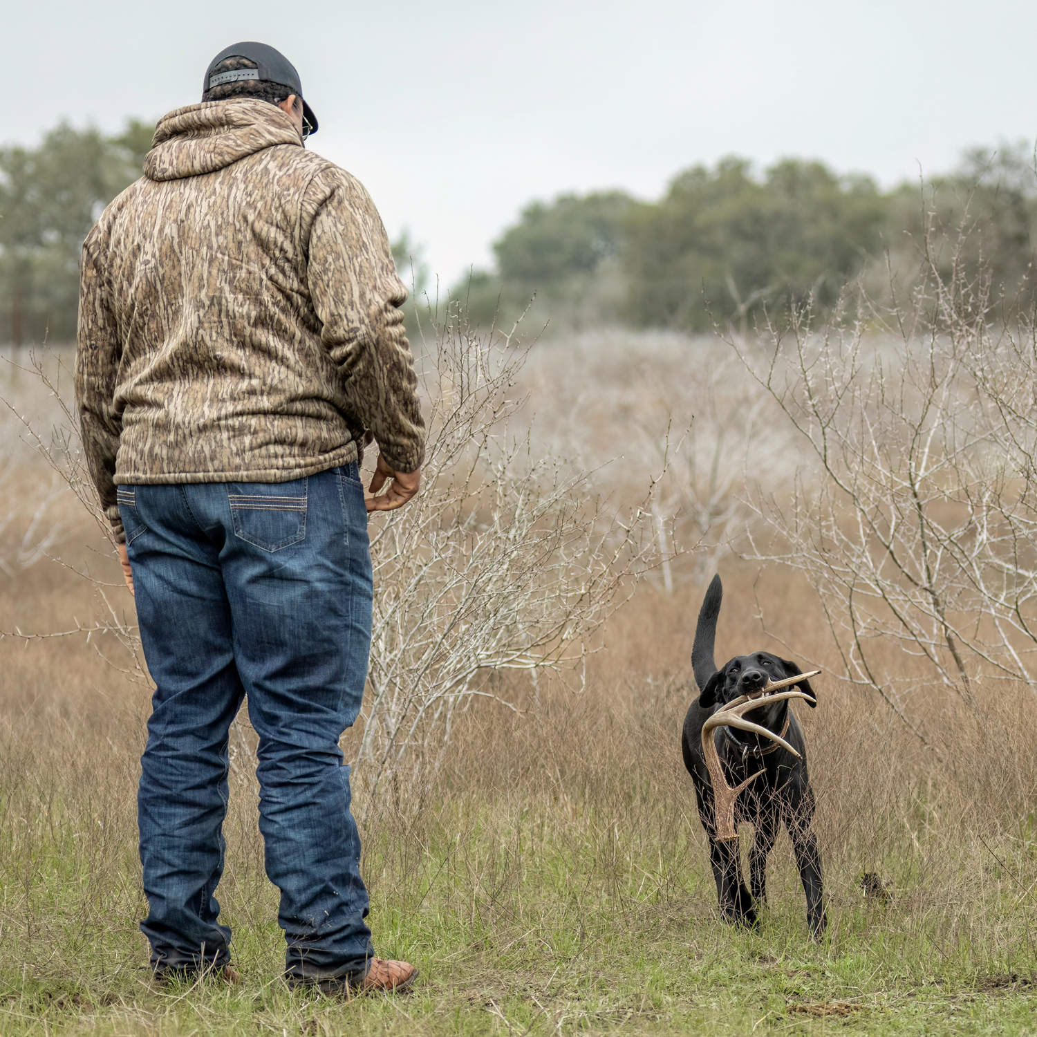 Man in camouflage jacket and blue jeans standing in a field with a dog holding deer antlers.