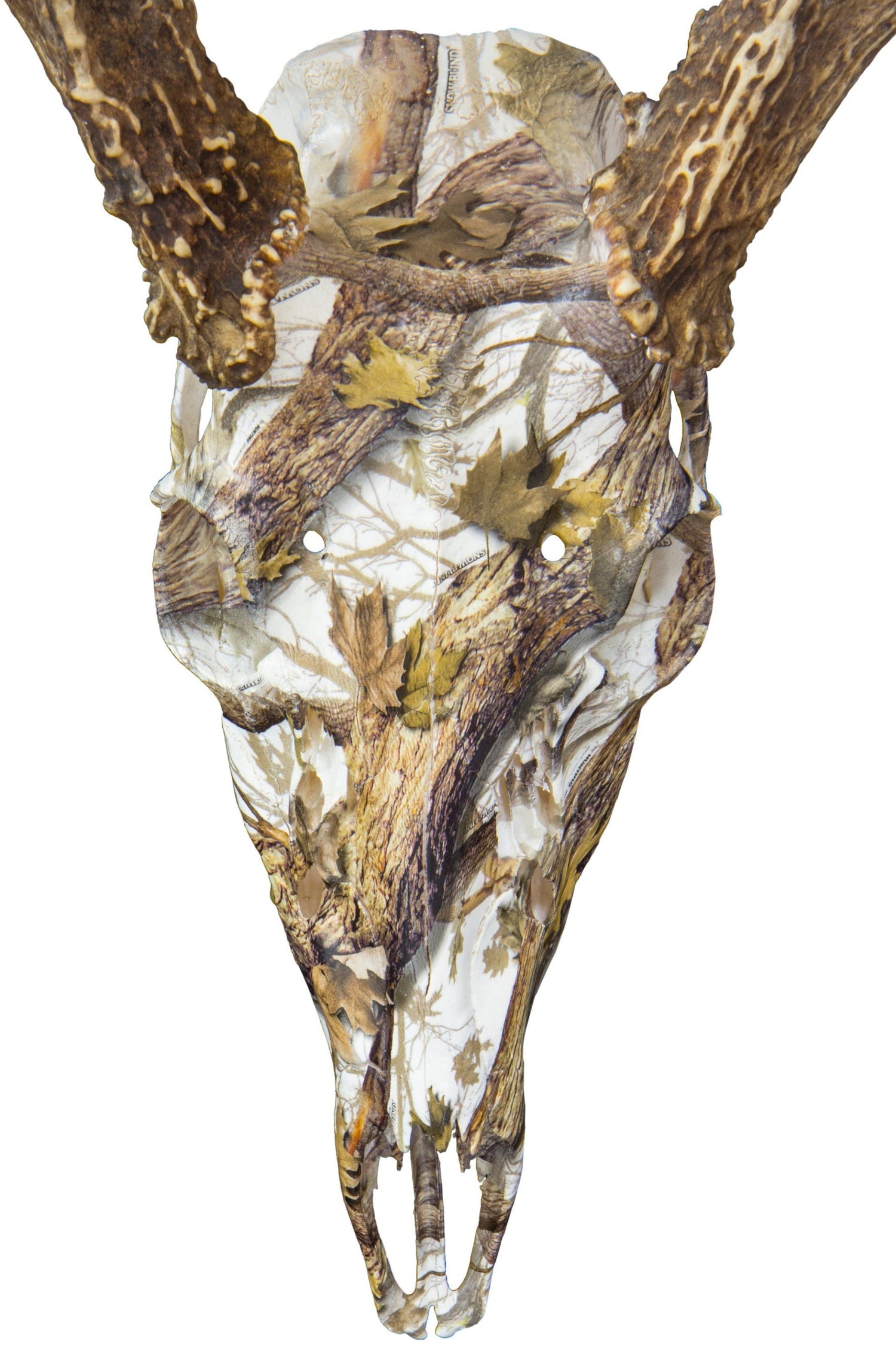 ALT: A skull that has been hydrodipped to have a snow white camo pattern.