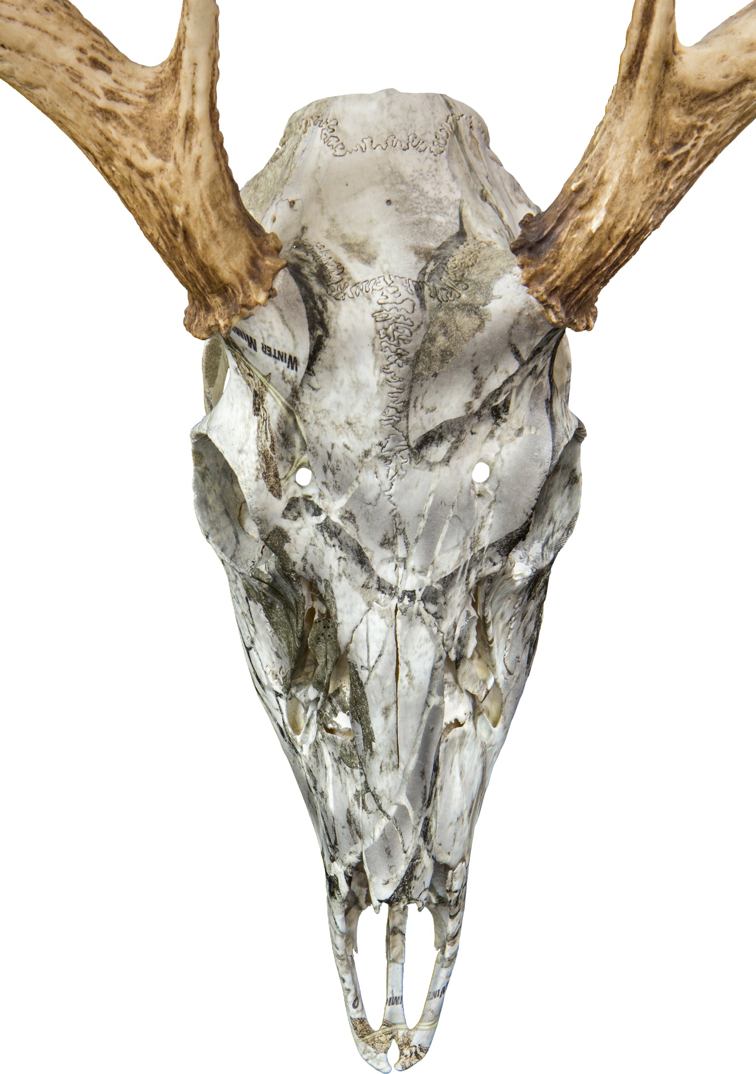 A skull that has been hydrodipped to have an white and grey pattern.