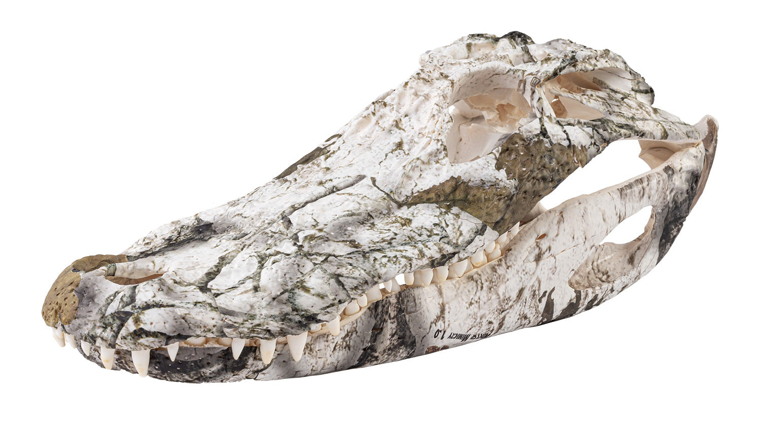 A gator skull that has been hydrodipped to have a gray and white camo pattern.