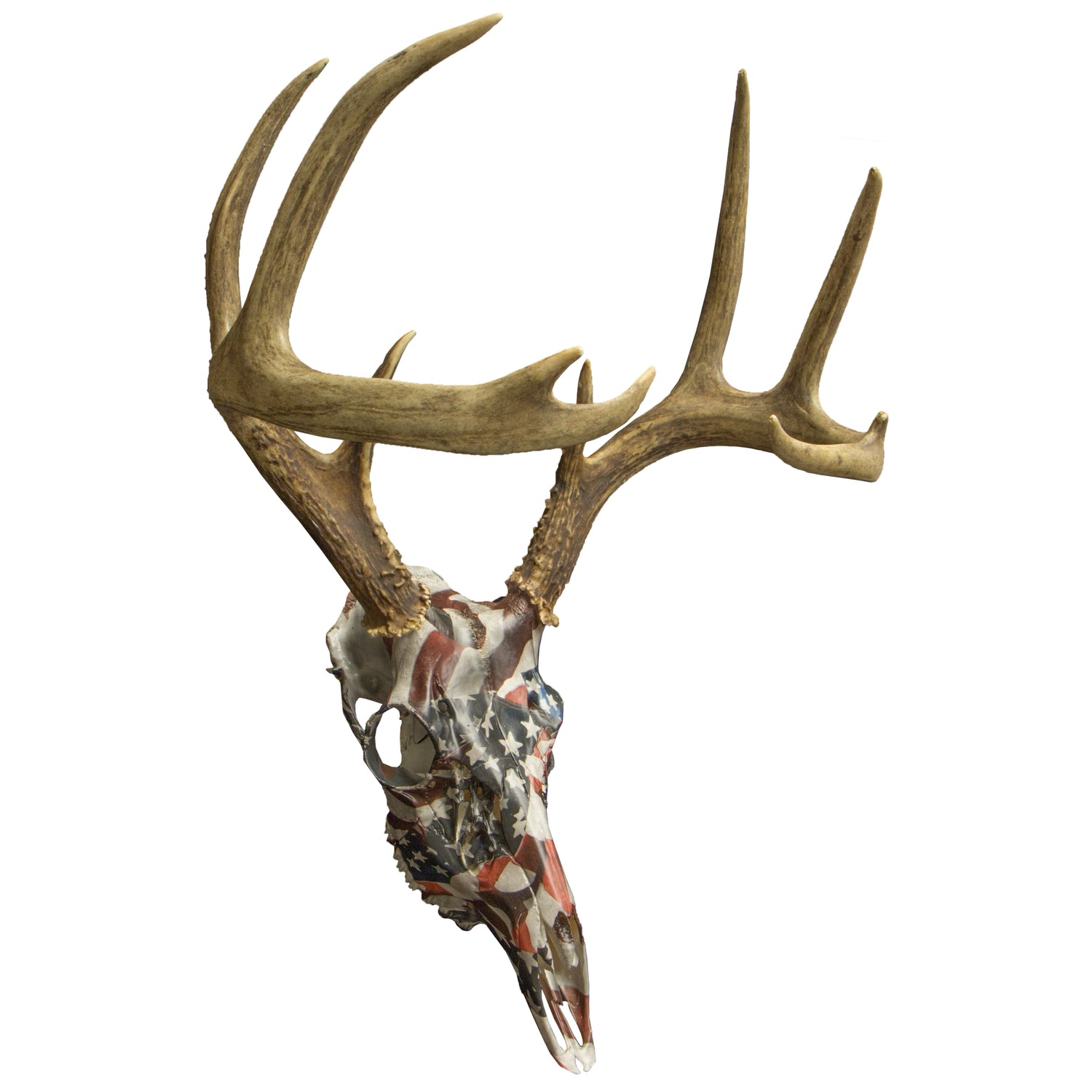 Deer skull with antlers featuring an American Flag design on a white background