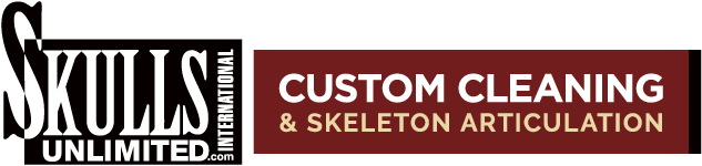 ALT: A logo for Skulls Unlimited International