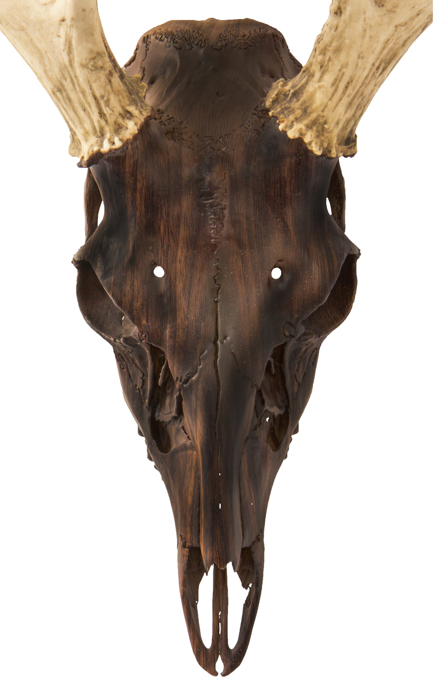 A skull that has been hydrodipped to have a wood pattern.