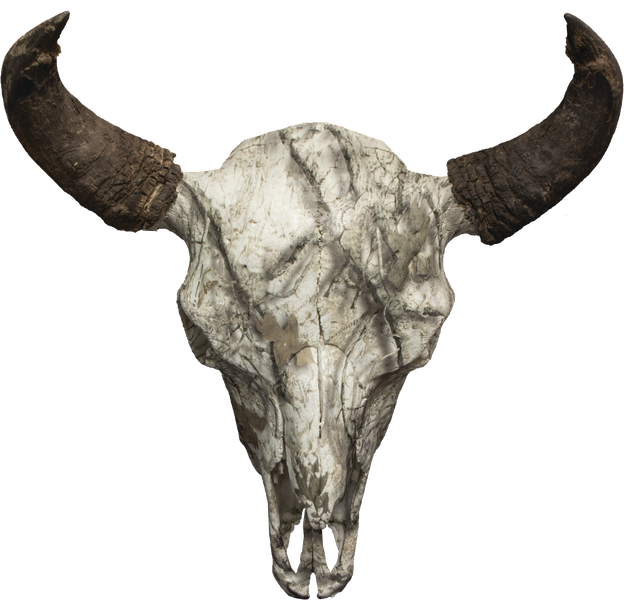 A skull that has been hydrodipped to have grey and white a camo pattern.